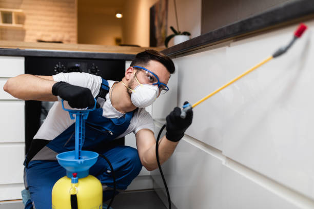 Best Wildlife Control Services  in Mount Ivy, NY